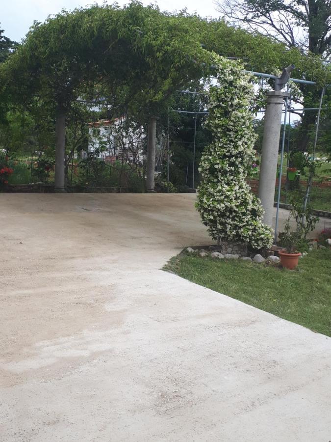 Apartma Makaus