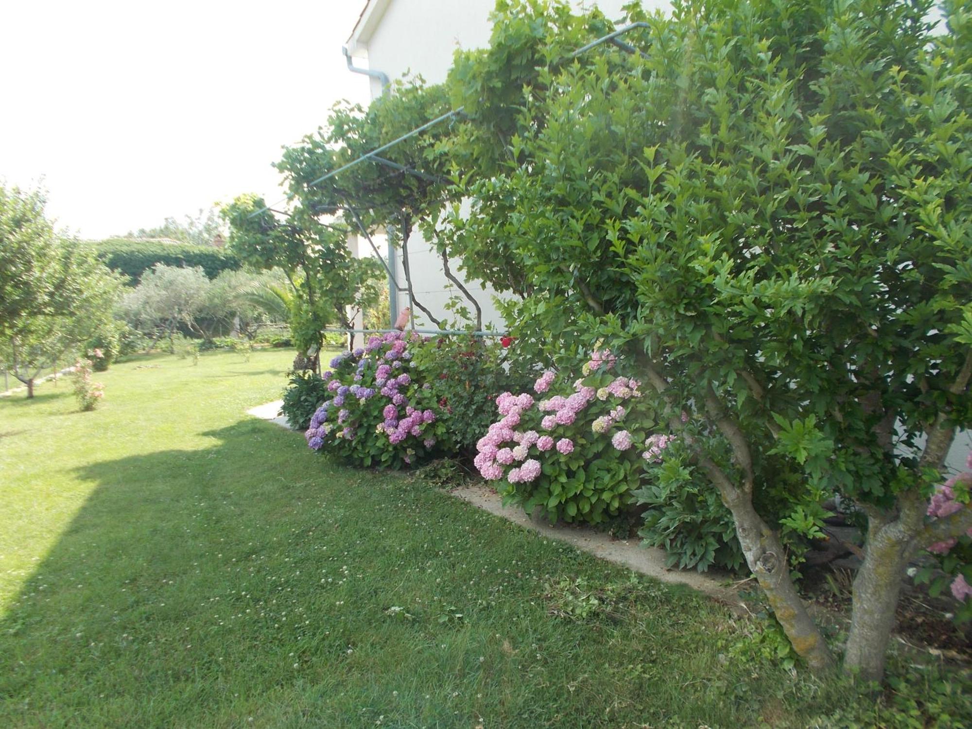 Makaus Apartma